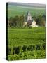 Vineyard, Oger, Champagne, France, Europe-John Miller-Stretched Canvas