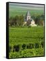 Vineyard, Oger, Champagne, France, Europe-John Miller-Framed Stretched Canvas