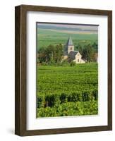 Vineyard, Oger, Champagne, France, Europe-John Miller-Framed Photographic Print