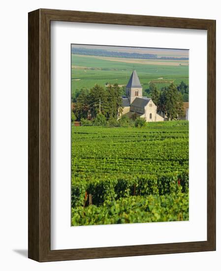 Vineyard, Oger, Champagne, France, Europe-John Miller-Framed Photographic Print