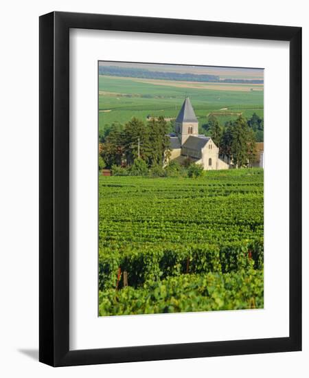 Vineyard, Oger, Champagne, France, Europe-John Miller-Framed Photographic Print