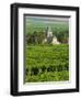 Vineyard, Oger, Champagne, France, Europe-John Miller-Framed Photographic Print