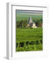 Vineyard, Oger, Champagne, France, Europe-John Miller-Framed Photographic Print