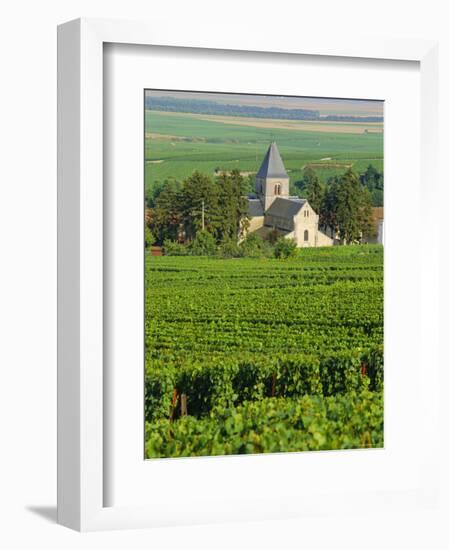 Vineyard, Oger, Champagne, France, Europe-John Miller-Framed Photographic Print