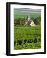 Vineyard, Oger, Champagne, France, Europe-John Miller-Framed Photographic Print