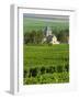 Vineyard, Oger, Champagne, France, Europe-John Miller-Framed Photographic Print