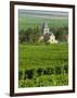 Vineyard, Oger, Champagne, France, Europe-John Miller-Framed Photographic Print