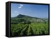 Vineyard on a Landscape with a Village in the Background, Roche De Solutre, Solutre Pouilly-null-Framed Stretched Canvas