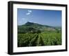 Vineyard on a Landscape with a Village in the Background, Roche De Solutre, Solutre Pouilly-null-Framed Photographic Print