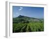 Vineyard on a Landscape with a Village in the Background, Roche De Solutre, Solutre Pouilly-null-Framed Photographic Print