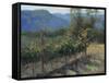 Vineyard On The Hill-Jill Schultz McGannon-Framed Stretched Canvas