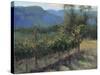 Vineyard On The Hill-Jill Schultz McGannon-Stretched Canvas