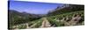 Vineyard on the Mountain, Dentelles de Montmiral, Provence, France-null-Stretched Canvas