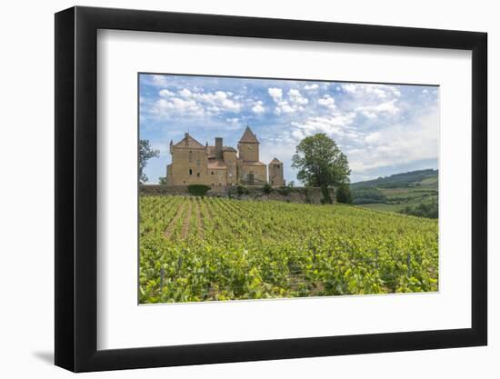 Vineyard, Pierreclos, Maconnaise, Burgundy, France-Jim Engelbrecht-Framed Photographic Print