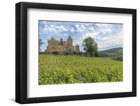 Vineyard, Pierreclos, Maconnaise, Burgundy, France-Jim Engelbrecht-Framed Photographic Print