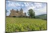 Vineyard, Pierreclos, Maconnaise, Burgundy, France-Jim Engelbrecht-Mounted Photographic Print