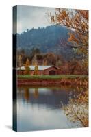 Vineyard Pond in Autumn , Calistoga Napa Valley-null-Stretched Canvas