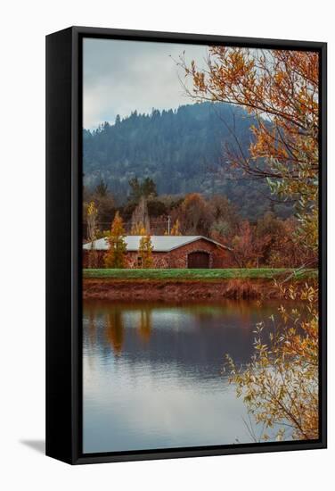 Vineyard Pond in Autumn , Calistoga Napa Valley-null-Framed Stretched Canvas