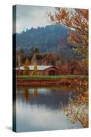 Vineyard Pond in Autumn , Calistoga Napa Valley-null-Stretched Canvas