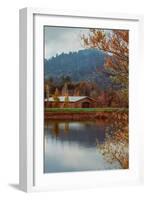 Vineyard Pond in Autumn , Calistoga Napa Valley-null-Framed Photographic Print