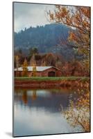 Vineyard Pond in Autumn , Calistoga Napa Valley-null-Mounted Photographic Print