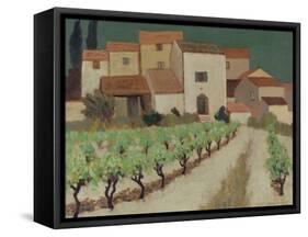 Vineyard, Provence-Eric Hains-Framed Stretched Canvas