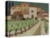 Vineyard, Provence-Eric Hains-Stretched Canvas