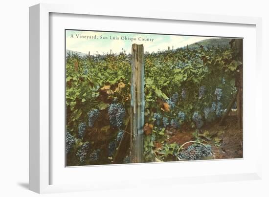 Vineyard, San Luis Obispo County-null-Framed Art Print