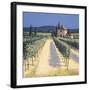 Vineyard Shadows-David Short-Framed Giclee Print