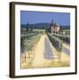 Vineyard Shadows-David Short-Framed Giclee Print