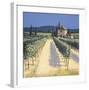 Vineyard Shadows-David Short-Framed Giclee Print