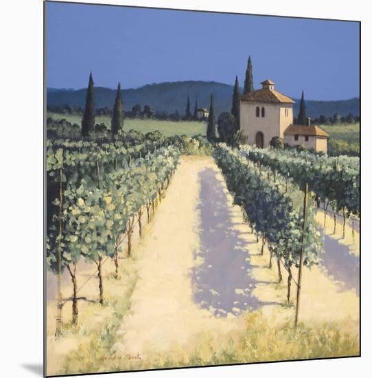 Vineyard Shadows-David Short-Mounted Giclee Print