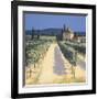 Vineyard Shadows-David Short-Framed Giclee Print
