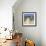 Vineyard Shadows-David Short-Framed Giclee Print displayed on a wall