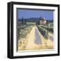 Vineyard Shadows-David Short-Framed Giclee Print