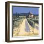 Vineyard Shadows-David Short-Framed Giclee Print