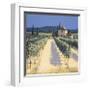 Vineyard Shadows-David Short-Framed Giclee Print