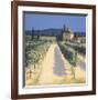 Vineyard Shadows-David Short-Framed Giclee Print