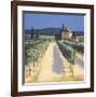 Vineyard Shadows-David Short-Framed Giclee Print