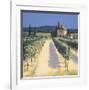 Vineyard Shadows-David Short-Framed Giclee Print