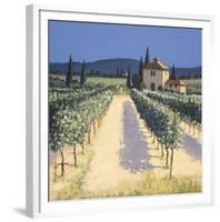 Vineyard Shadows-David Short-Framed Giclee Print