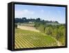 Vineyard, Strada in Chianti, Chianti Area, Firenze Province, Tuscany, Italy, Europe-Nico Tondini-Framed Stretched Canvas