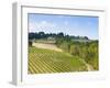 Vineyard, Strada in Chianti, Chianti Area, Firenze Province, Tuscany, Italy, Europe-Nico Tondini-Framed Photographic Print