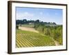 Vineyard, Strada in Chianti, Chianti Area, Firenze Province, Tuscany, Italy, Europe-Nico Tondini-Framed Photographic Print