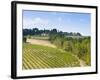 Vineyard, Strada in Chianti, Chianti Area, Firenze Province, Tuscany, Italy, Europe-Nico Tondini-Framed Photographic Print