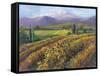 Vineyard Tapestry I-Nanette Oleson-Framed Stretched Canvas