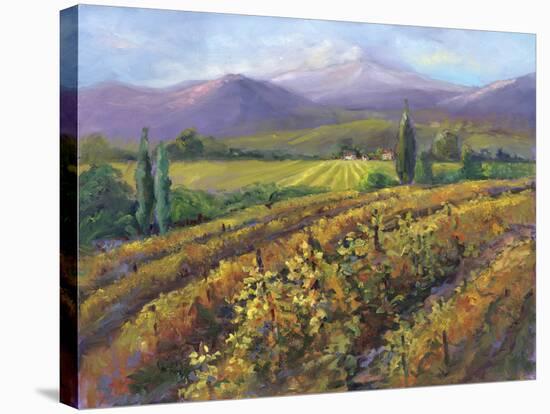 Vineyard Tapestry I-Nanette Oleson-Stretched Canvas