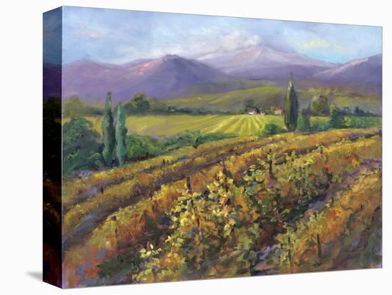 Vineyard Tapestry I-Nanette Oleson-Stretched Canvas