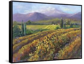 Vineyard Tapestry I-Nanette Oleson-Framed Stretched Canvas