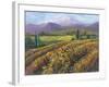 Vineyard Tapestry I-Nanette Oleson-Framed Art Print